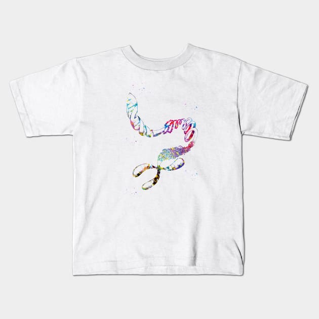 DNA Chromosome Kids T-Shirt by erzebeth